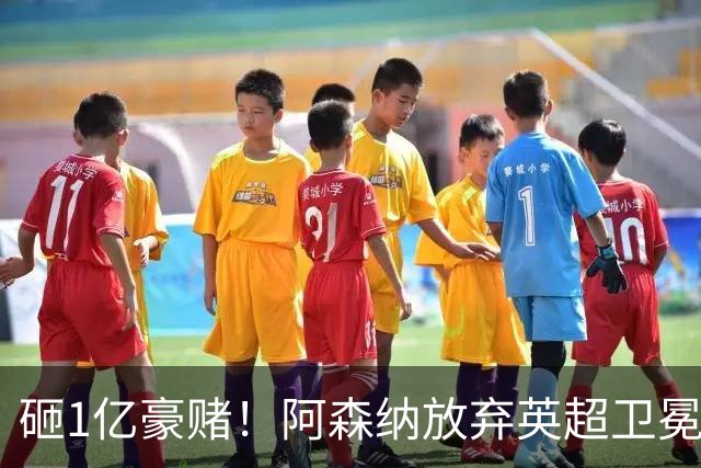 砸1亿豪赌！阿森纳放弃英超卫冕？本赛季他们的真正目标是欧冠！