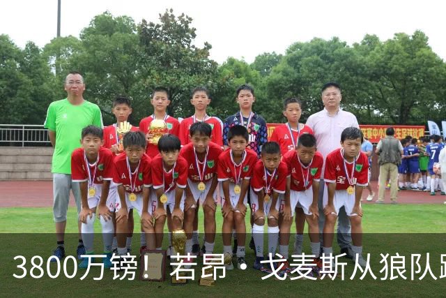 3800万镑！若昂·戈麦斯从狼队跳槽维拉，上赛季他攻破过新东家球门